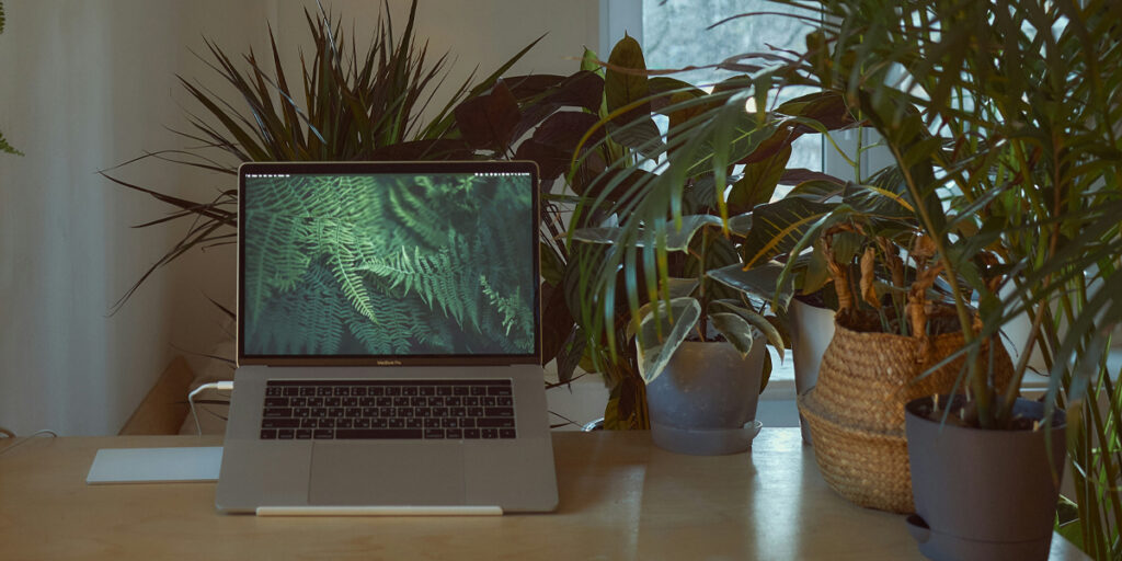 Laptop surrounded by houseplants