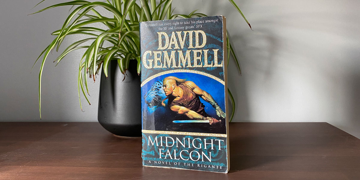 Midnight Falcon by David Gemmell, pictured on a shelf in front of a spider plant