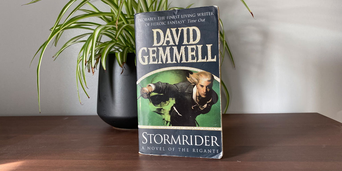 Stormrider by David Gemmell, pictured on a shelf in front of a spider plant