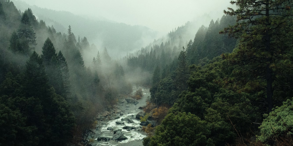 River scene with fog and forest
