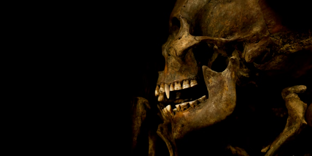 Human skeleton with vampire fangs